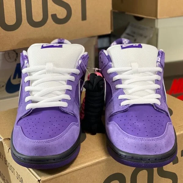 purple lobster prices