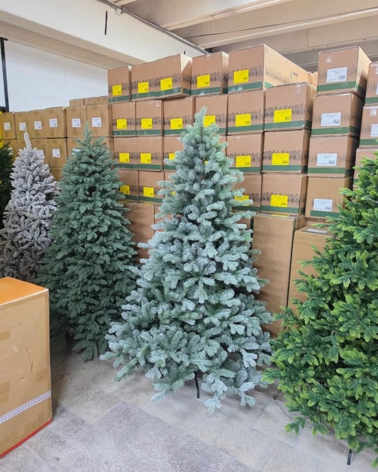Christmas trees wholesale